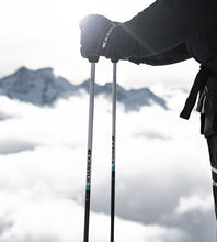 Load image into Gallery viewer, pisteca100_2