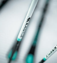 Load image into Gallery viewer, pisteca100_5